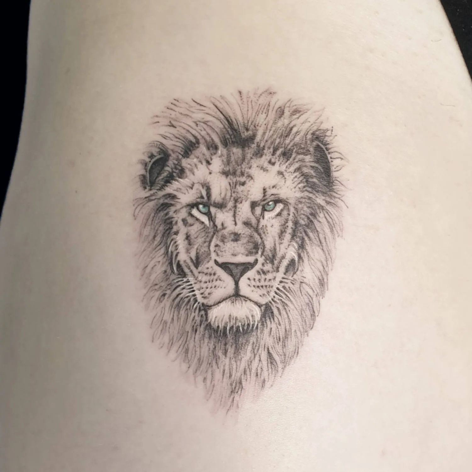 Dana Barazutti, Capt'n Dan Tattoo, Hildesheim,  Neue Tattoos, Cover-Up Tattoos   ,Tattoostudio 