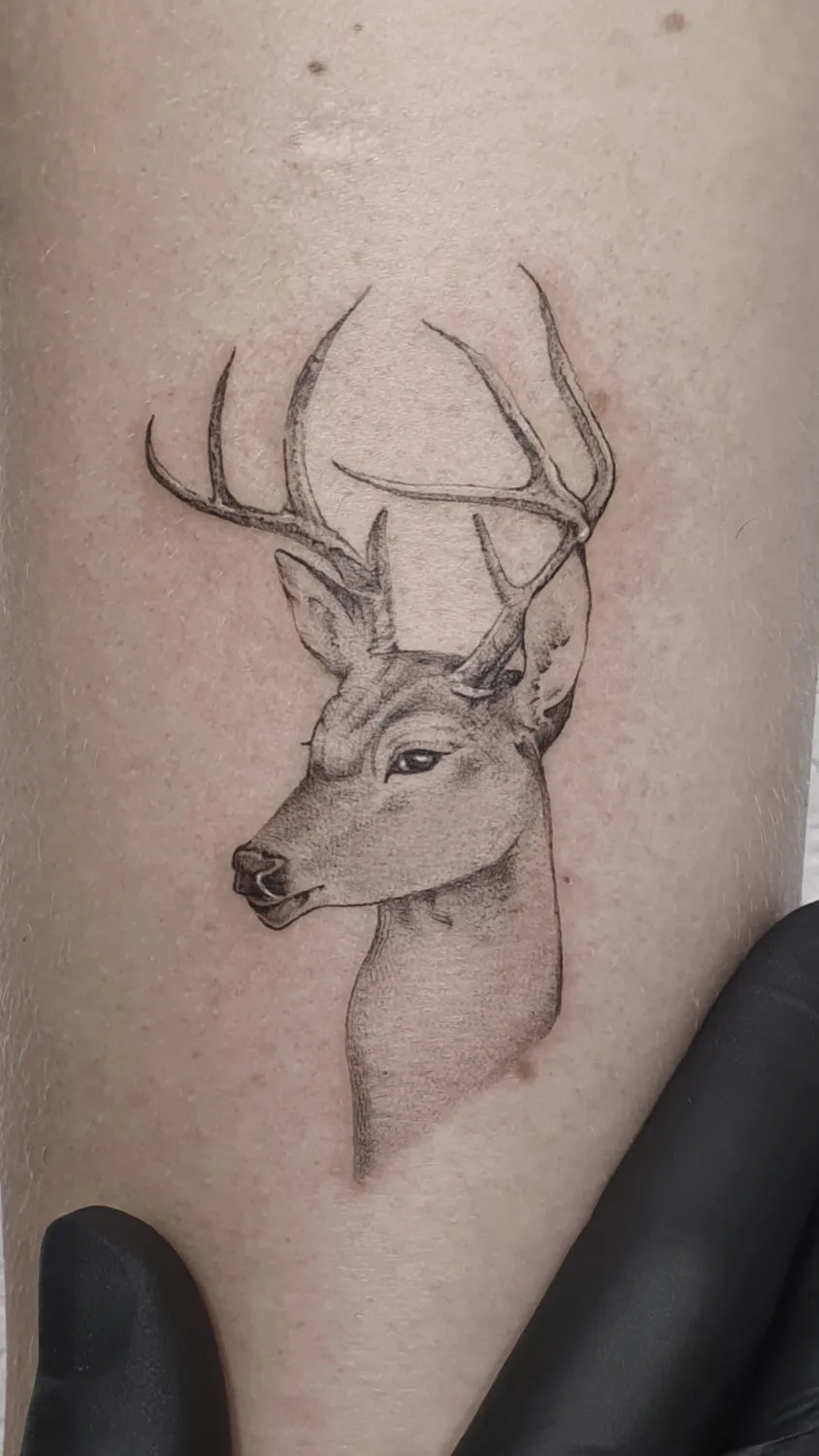 Dana Barazutti, Capt'n Dan Tattoo, Hildesheim,  Neue Tattoos, Cover-Up Tattoos   ,Tattoostudio 