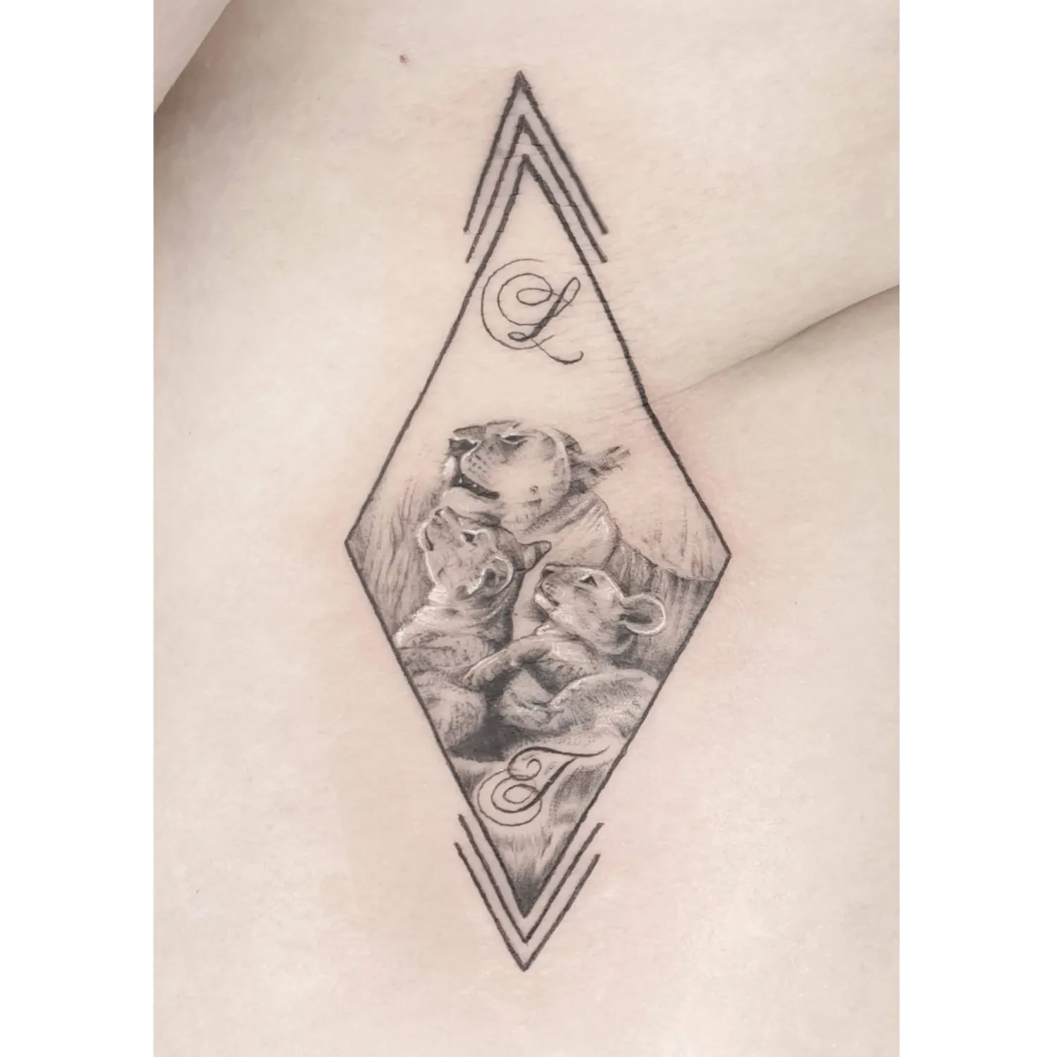 Dana Barazutti, Capt'n Dan Tattoo, Hildesheim,  Neue Tattoos, Cover-Up Tattoos   ,Tattoostudio 