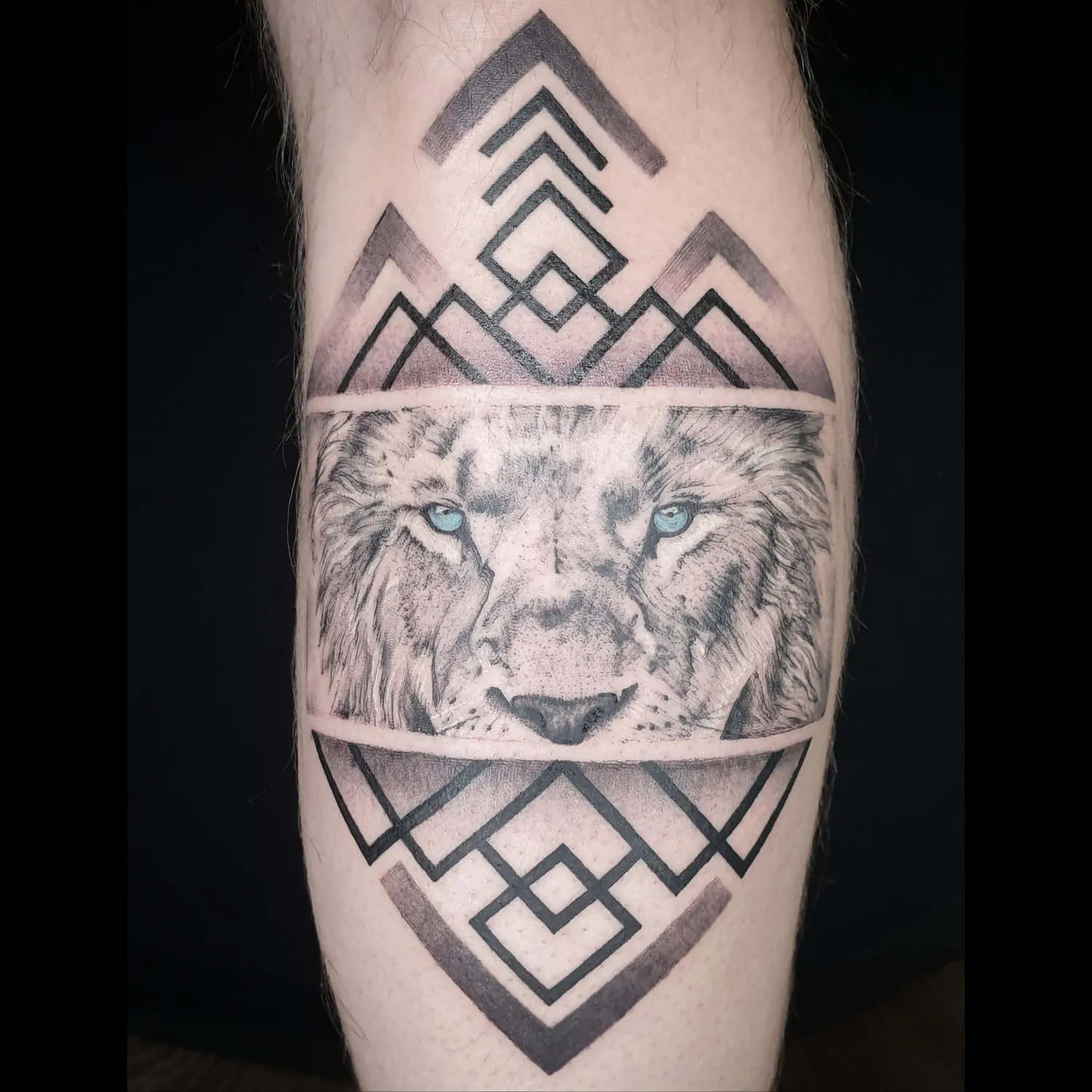 Dana Barazutti, Capt'n Dan Tattoo, Hildesheim,  Neue Tattoos, Cover-Up Tattoos   ,Tattoostudio 
