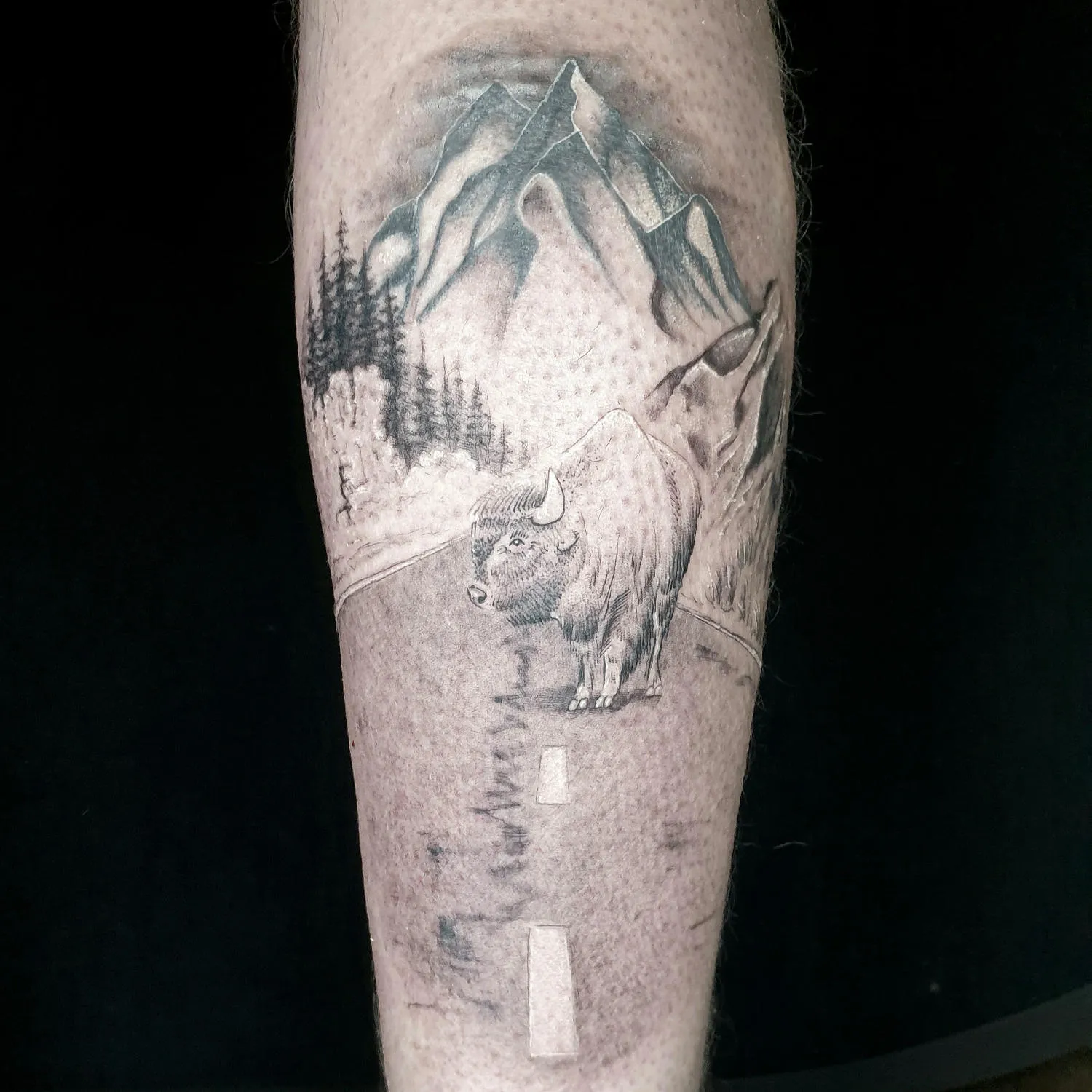 Dana Barazutti, Capt'n Dan Tattoo, Hildesheim,  Neue Tattoos, Cover-Up Tattoos   ,Tattoostudio 