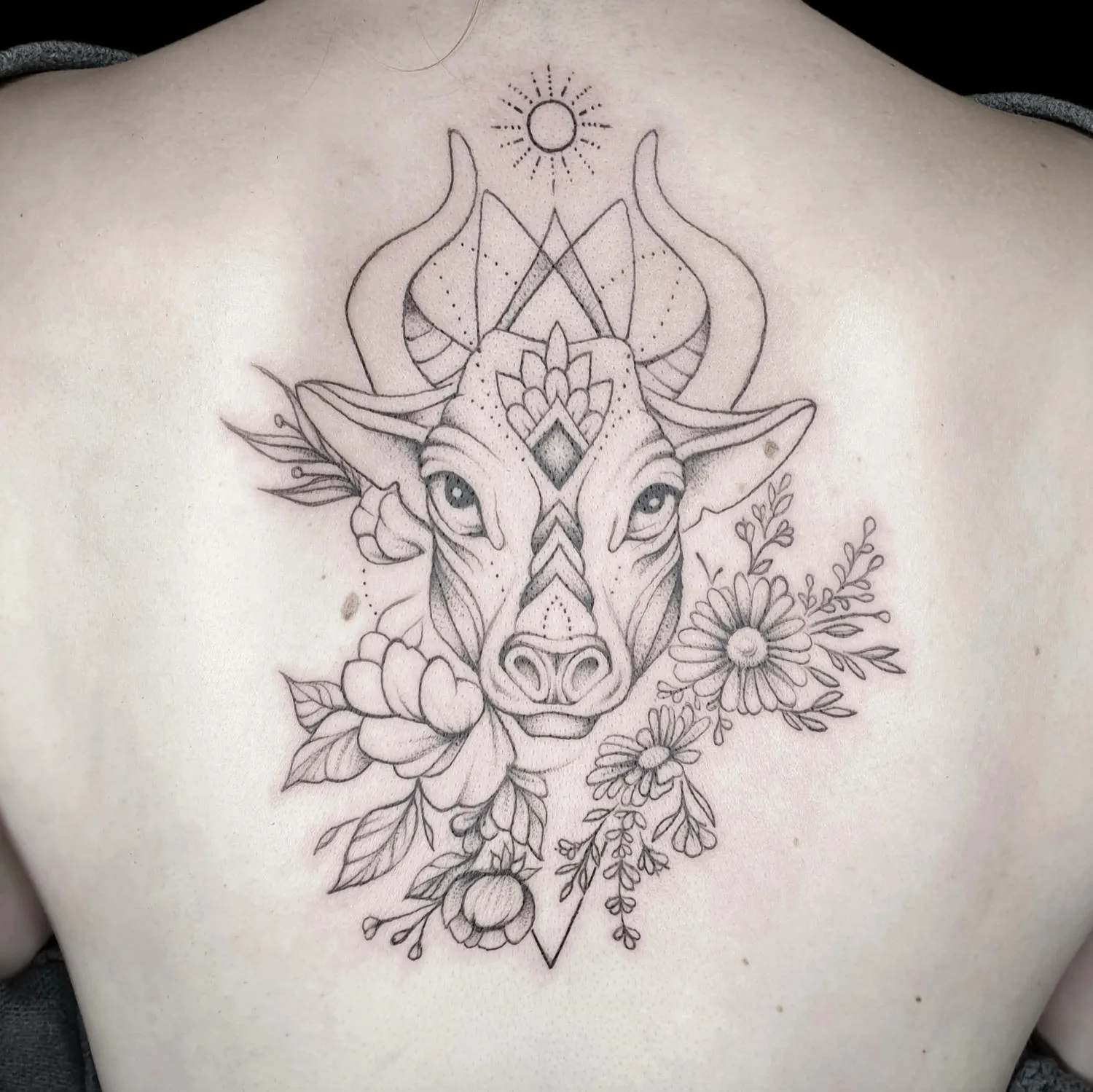 Dana Barazutti, Capt'n Dan Tattoo, Hildesheim,  Neue Tattoos, Cover-Up Tattoos   ,Tattoostudio 