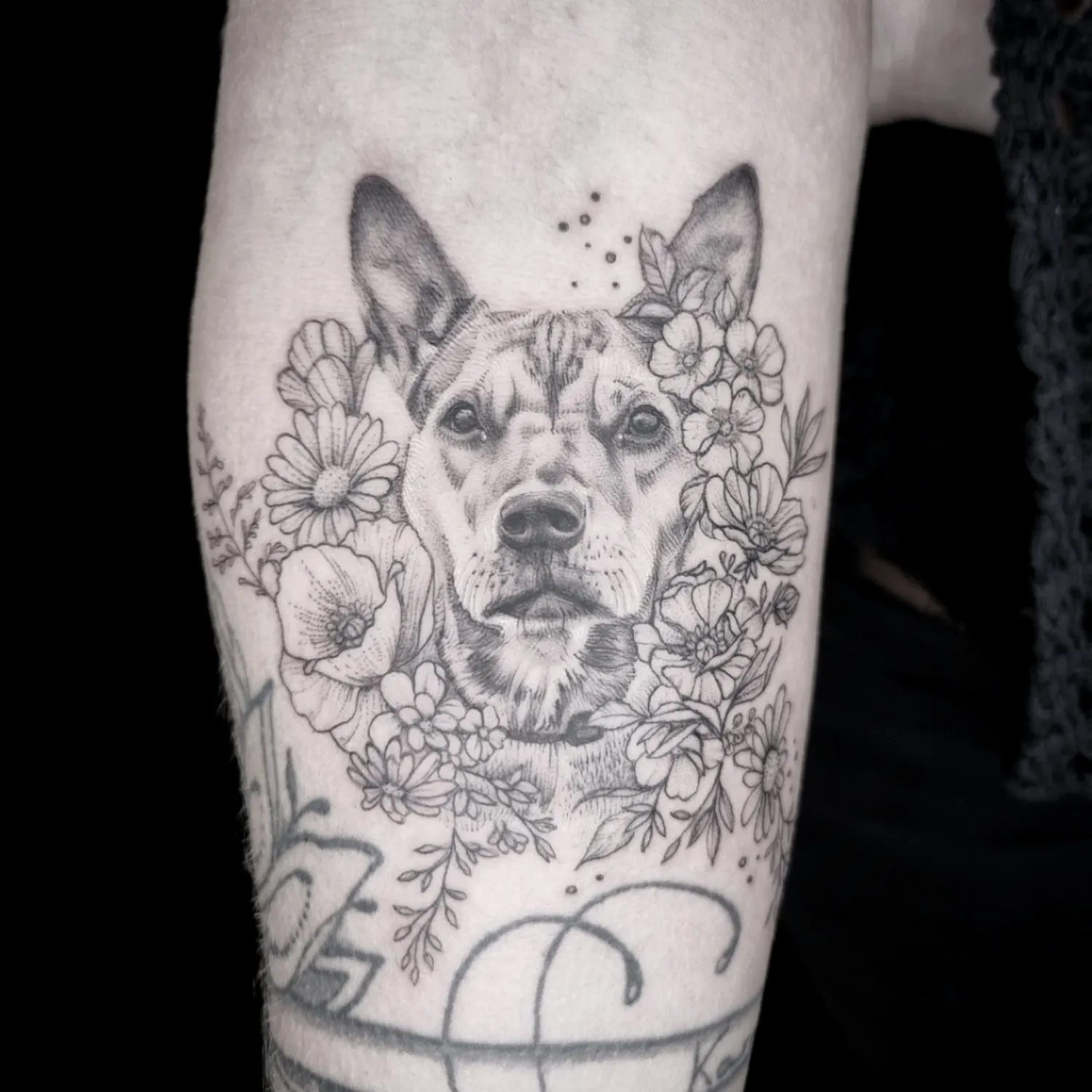 Dana Barazutti, Capt'n Dan Tattoo, Hildesheim,  Neue Tattoos, Cover-Up Tattoos   ,Tattoostudio 