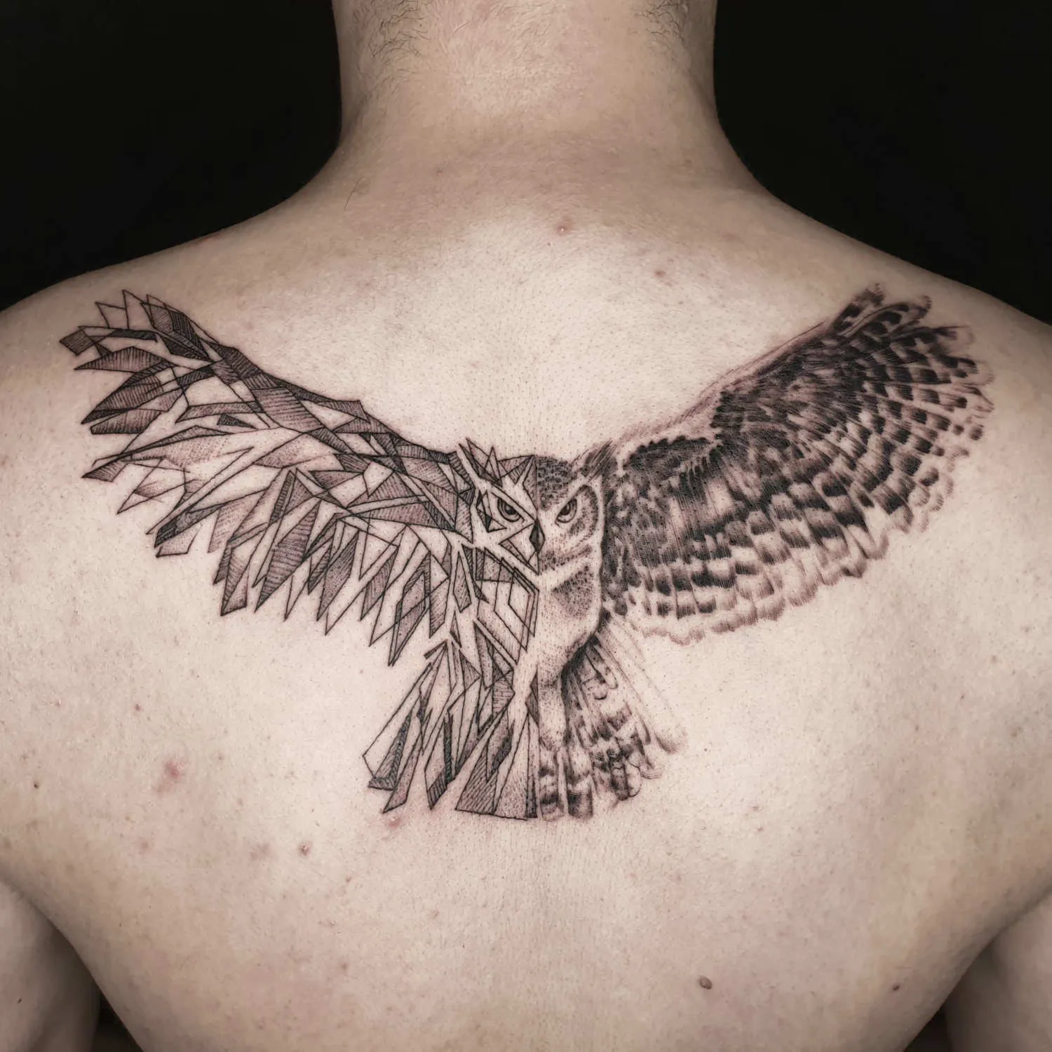 Dana Barazutti, Capt'n Dan Tattoo, Hildesheim,  Neue Tattoos, Cover-Up Tattoos   ,Tattoostudio 