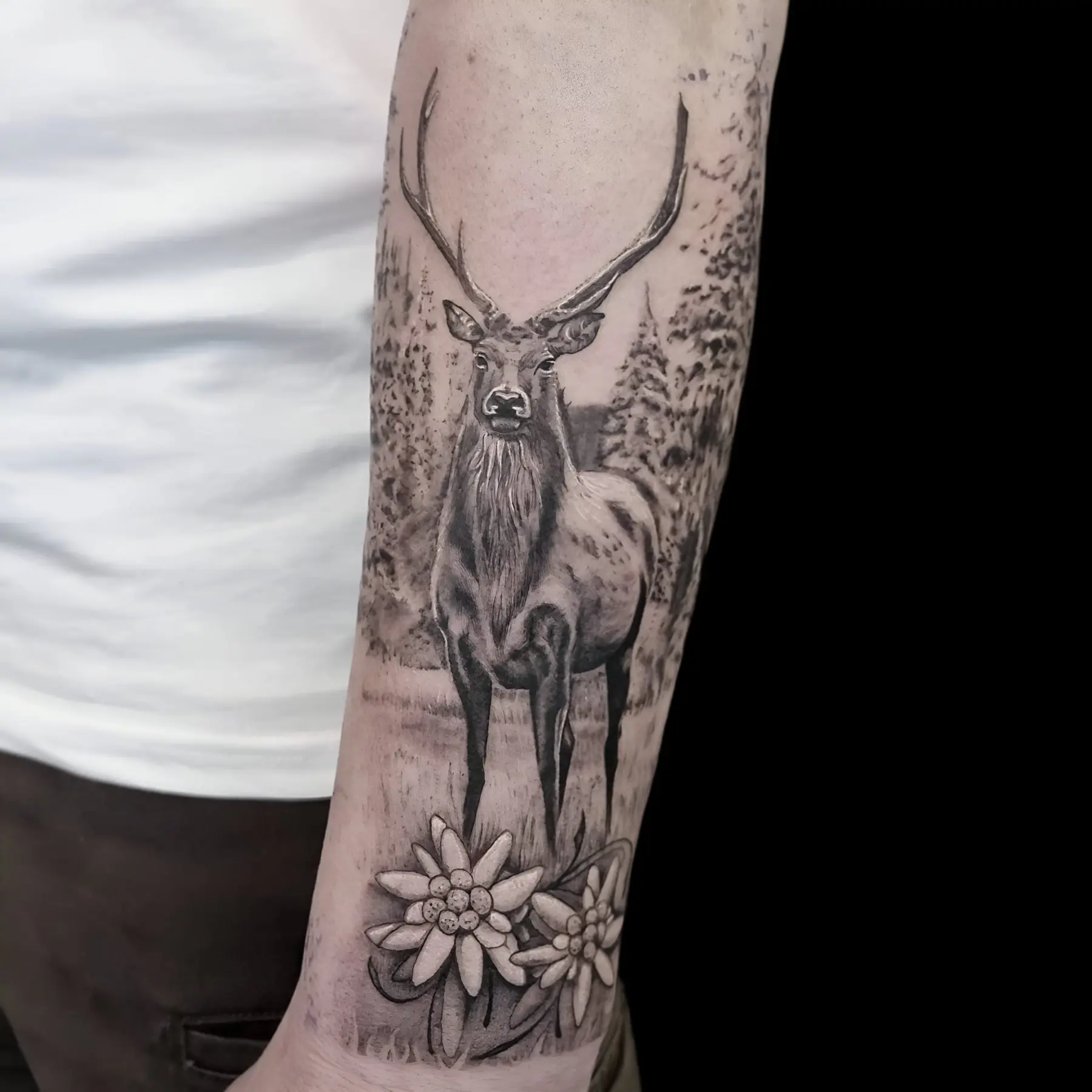 Dana Barazutti, Capt'n Dan Tattoo, Hildesheim,  Neue Tattoos, Cover-Up Tattoos   ,Tattoostudio 