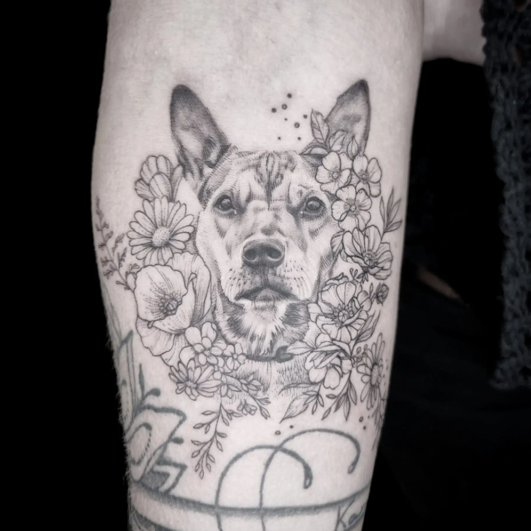 Dana Barazutti, Capt'n Dan Tattoo, Hildesheim,  Neue Tattoos, Cover-Up Tattoos   ,Tattoostudio 