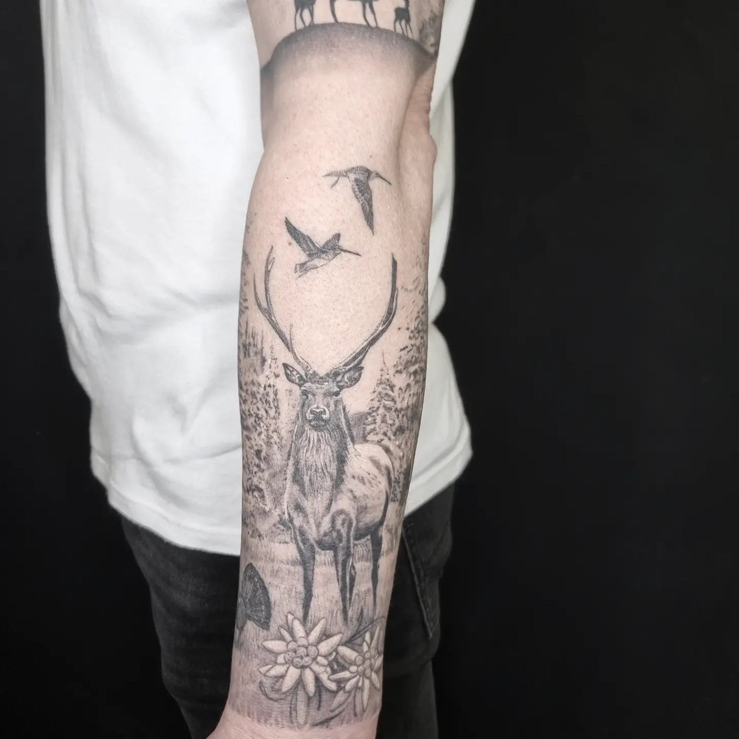 Dana Barazutti, Capt'n Dan Tattoo, Hildesheim,  Neue Tattoos, Cover-Up Tattoos   ,Tattoostudio 