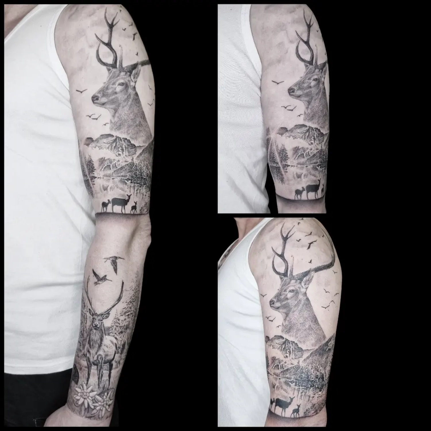 Dana Barazutti, Capt'n Dan Tattoo, Hildesheim,  Neue Tattoos, Cover-Up Tattoos   ,Tattoostudio 