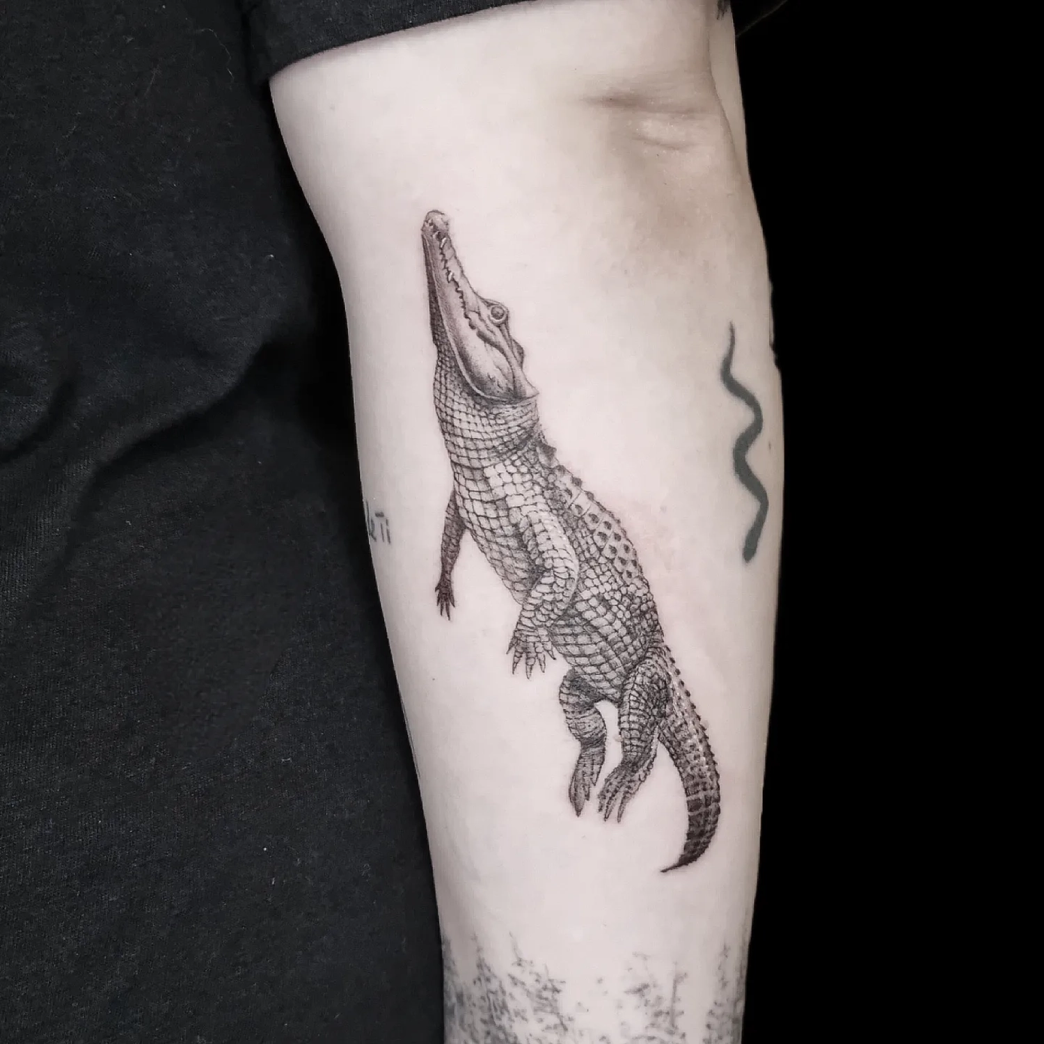 Dana Barazutti, Capt'n Dan Tattoo, Hildesheim,  Neue Tattoos, Cover-Up Tattoos   ,Tattoostudio 