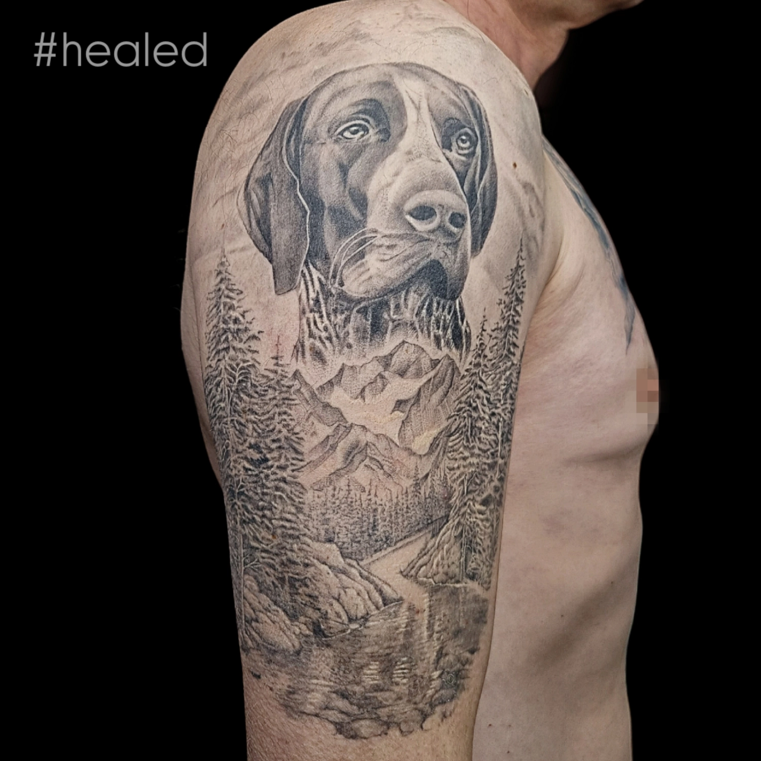 Dana Barazutti, Capt'n Dan Tattoo, Hildesheim,  Neue Tattoos, Cover-Up Tattoos   ,Tattoostudio 